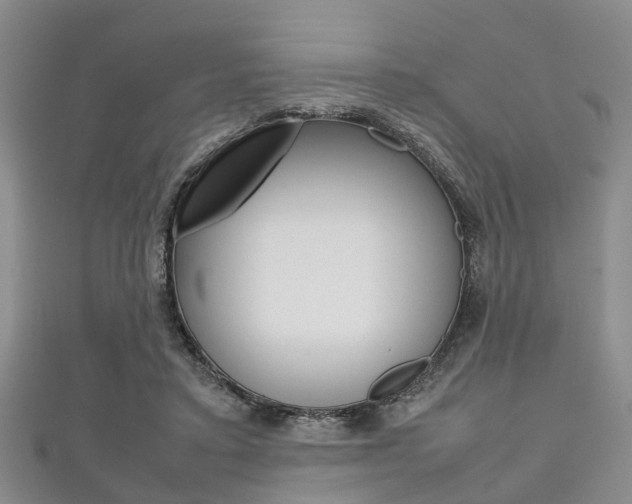 X0000111920403200907271013