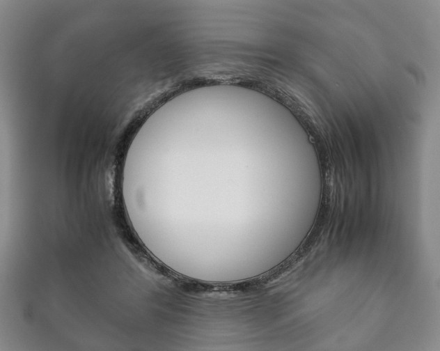 X0000111920404200907271013