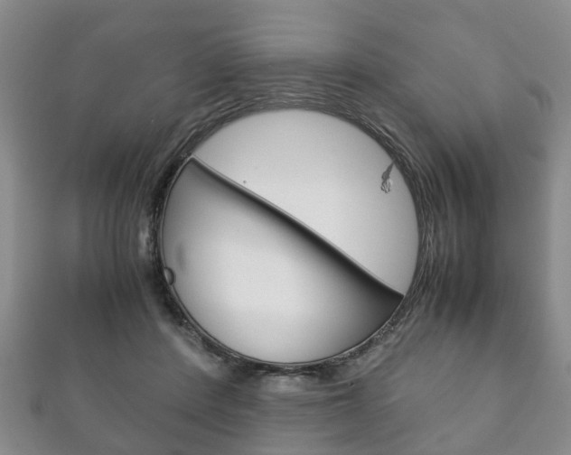 X0000111920408200907271013