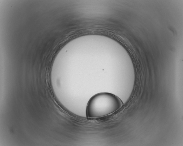 X0000111920409200907271013