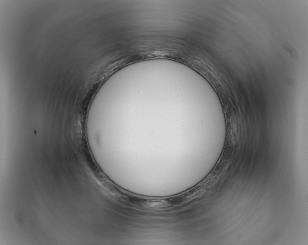 X0000111920410200907271013