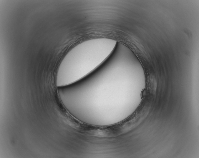 X0000111920412200907271013