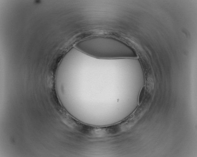 X0000111920413200907271013