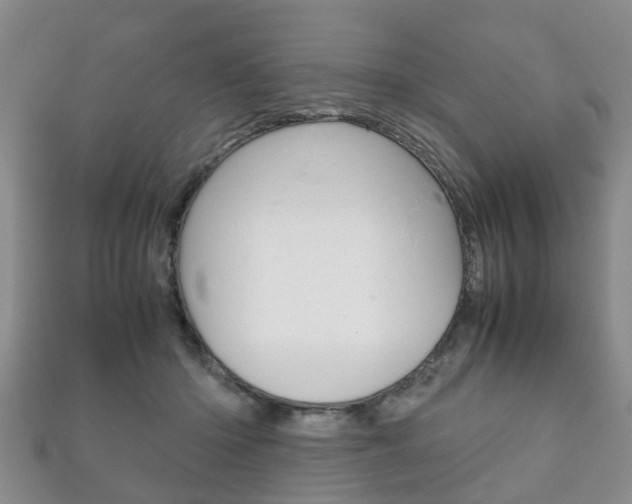 X0000111920414200907271013