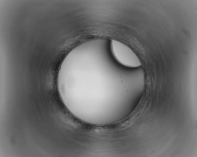 X0000111920416200907271013