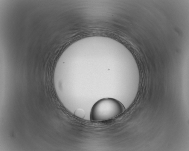 X0000111920417200907271013