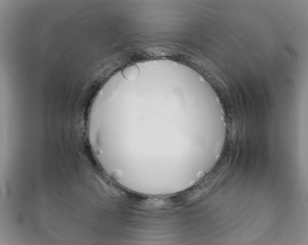X0000111920418200907271013