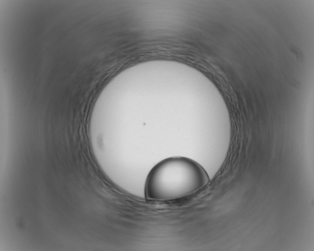 X0000111920419200907271013