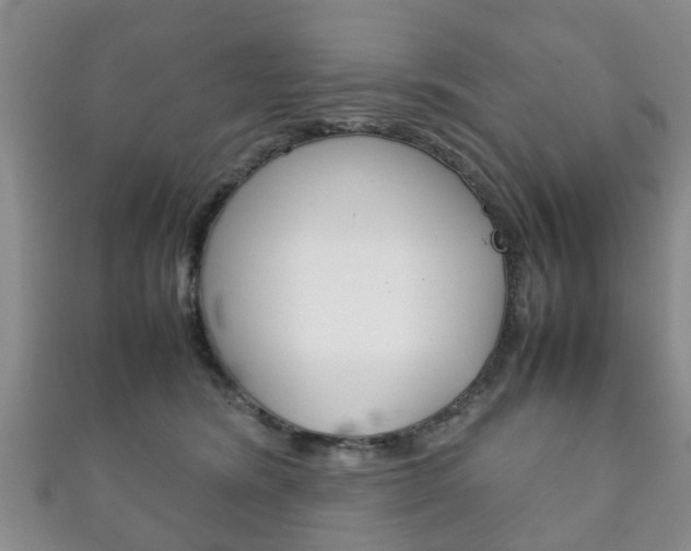 X0000111920420200907271013