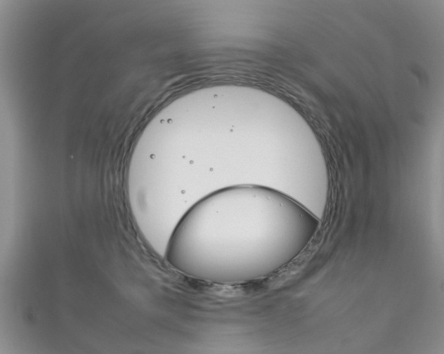 X0000111920421200907271013