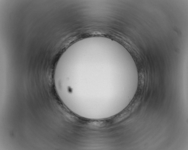 X0000111920422200907271013