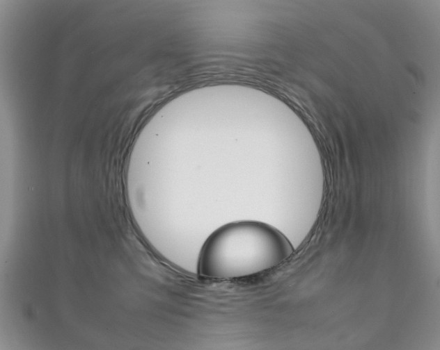 X0000111920423200907271013