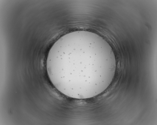 X0000111920424200907271013