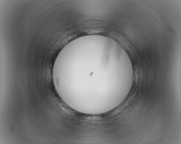X0000111920426200907271013