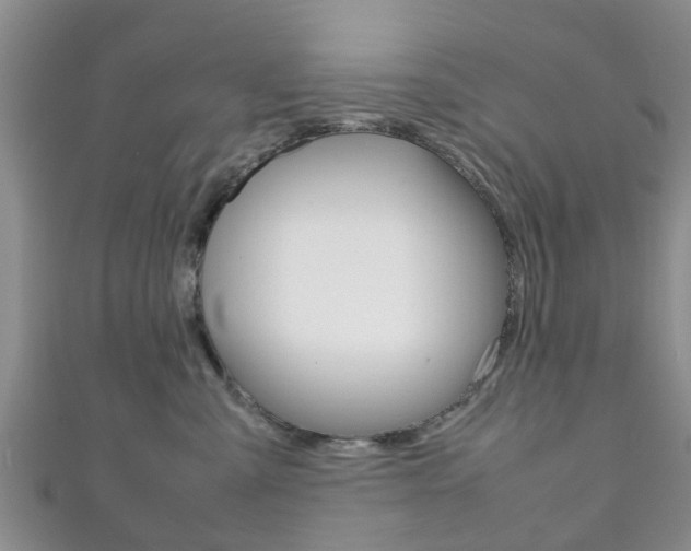 X0000111920427200907271013