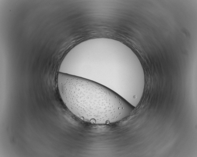 X0000111920428200907271013