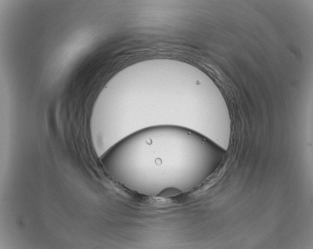 X0000111920429200907271013