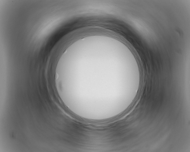 X0000111920431200907271013