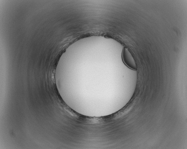 X0000111920432200907271013