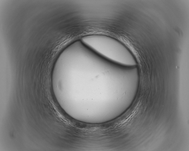 X0000111920433200907271012
