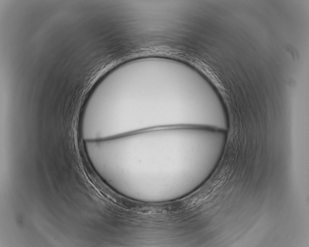 X0000111920434200907271012