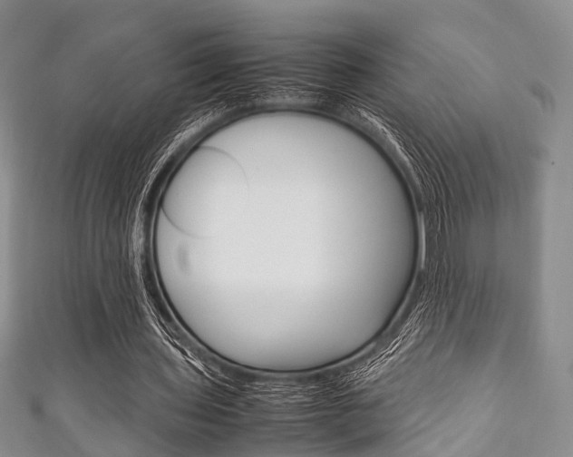 X0000111920435200907271012