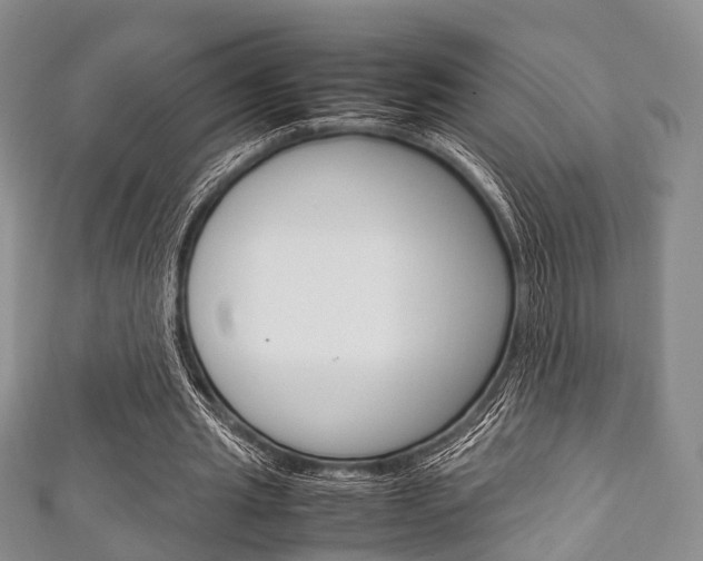 X0000111920437200907271012