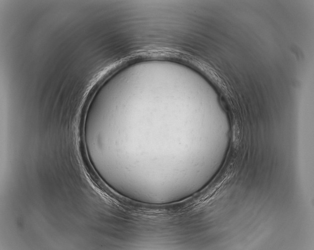 X0000111920438200907271012