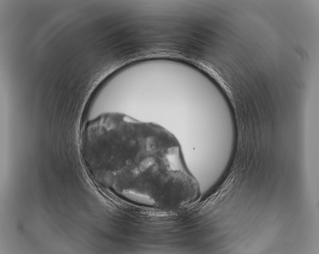 X0000111920439200907271012