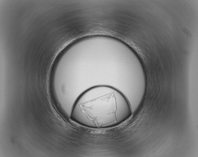 X0000111920440200907271012