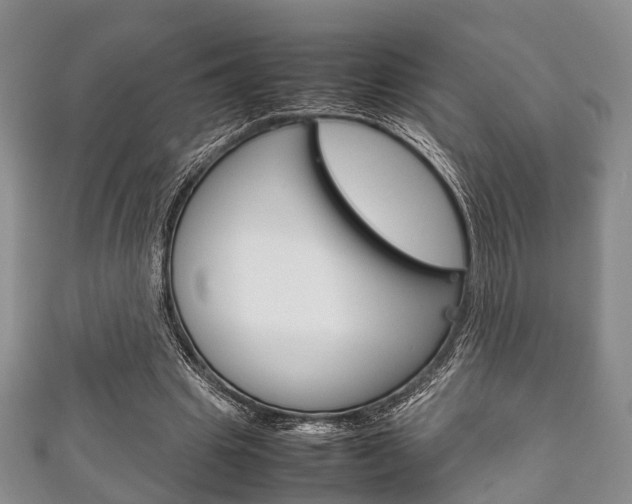 X0000111920441200907271012