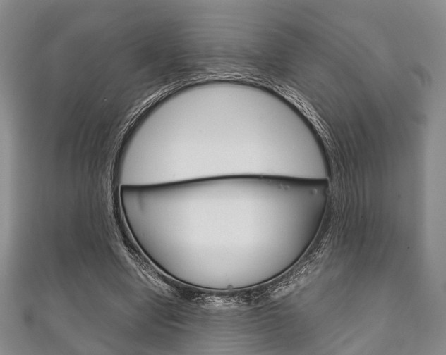 X0000111920442200907271012