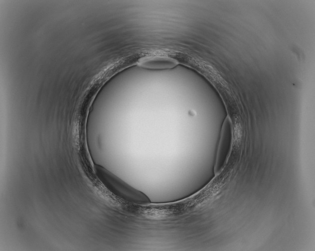 X0000111920444200907271013