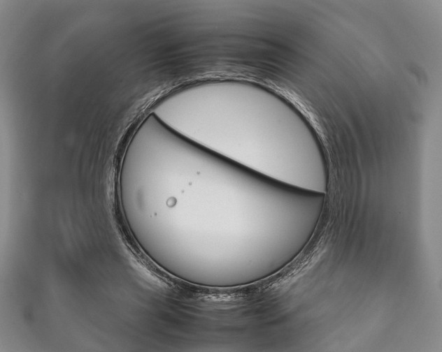 X0000111920445200907271013