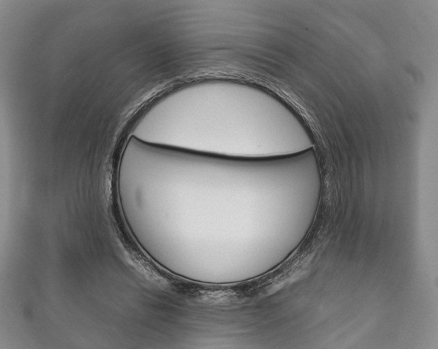 X0000111920446200907271013