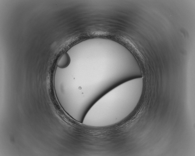 X0000111920447200907271013