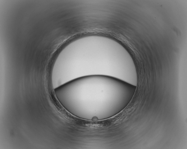X0000111920448200907271013