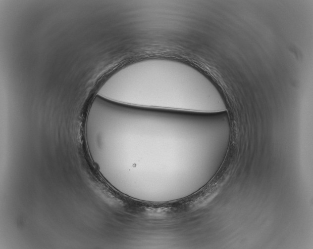 X0000111920450200907271013