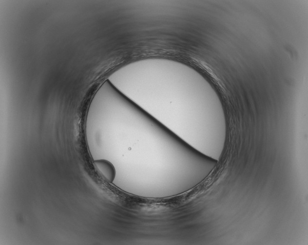 X0000111920451200907271013