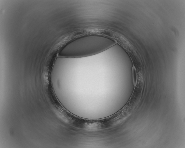 X0000111920452200907271013