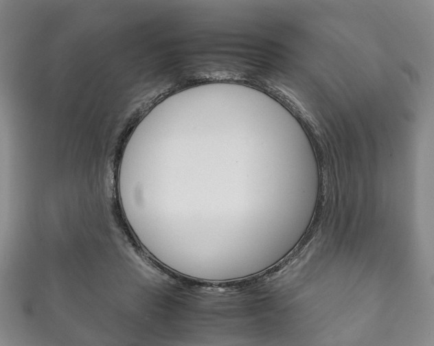X0000111920453200907271013