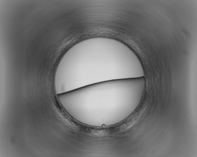 X0000111920454200907271013