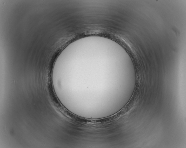 X0000111920455200907271013