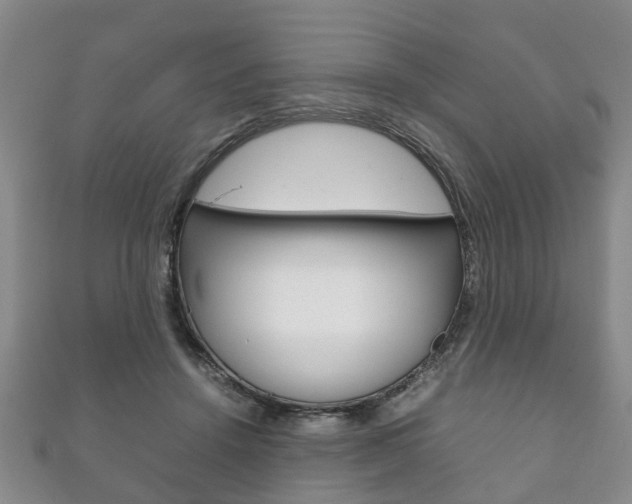 X0000111920456200907271013