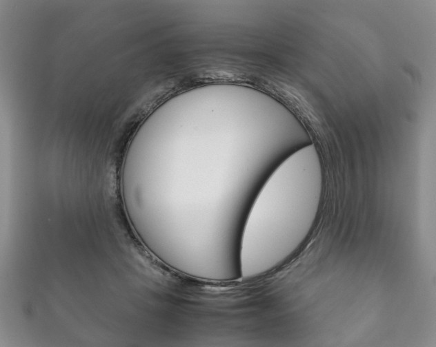 X0000111920457200907271013