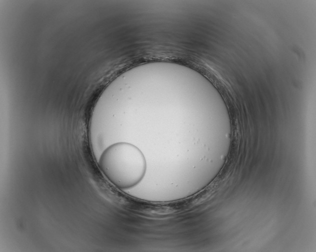 X0000111920459200907271013