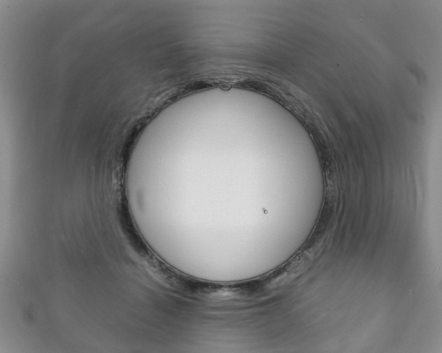 X0000111920460200907271013