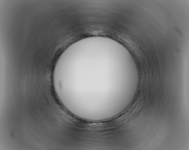 X0000111920461200907271013