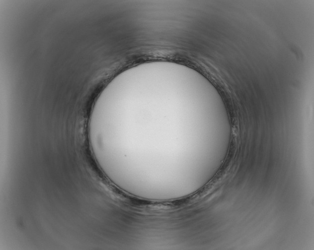 X0000111920462200907271013