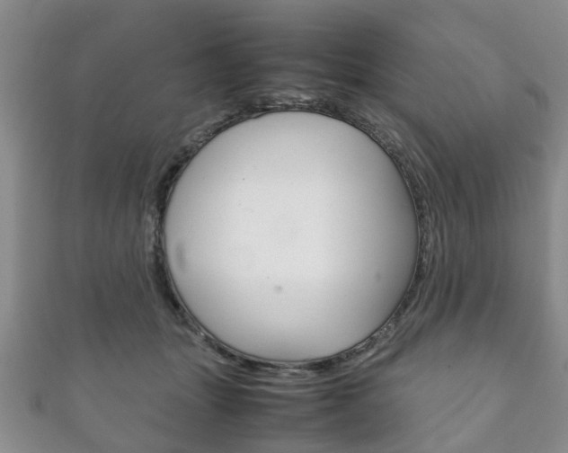 X0000111920463200907271013